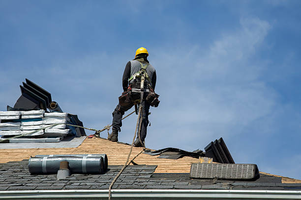 Professional Storm Damage Roof Repair technician working in Dunellen, NJ